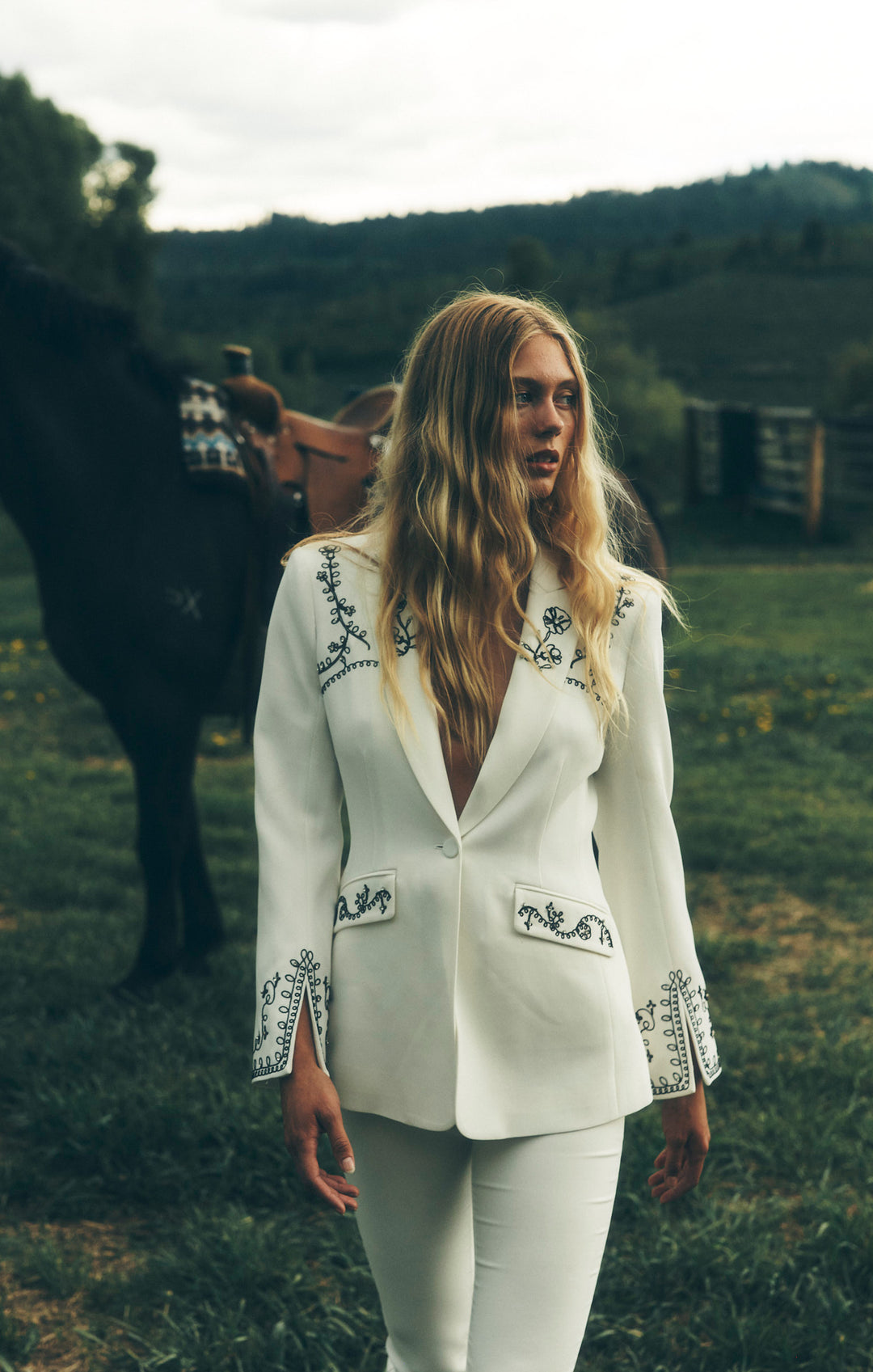 Soutache Embellished Cheyenne Blazer – Cinq à Sept