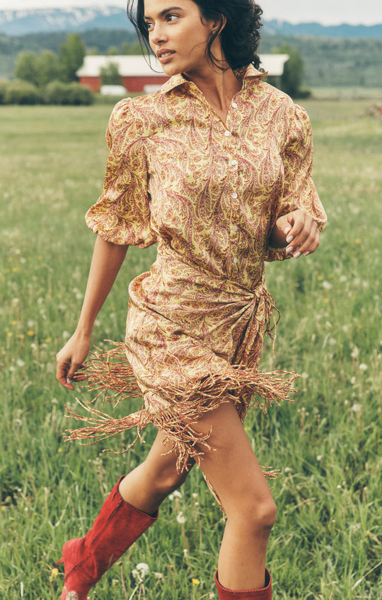 Charming Paisley Kember Dress
