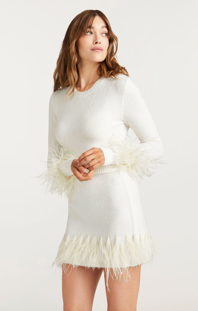 Briana Feather Crewneck Pullover