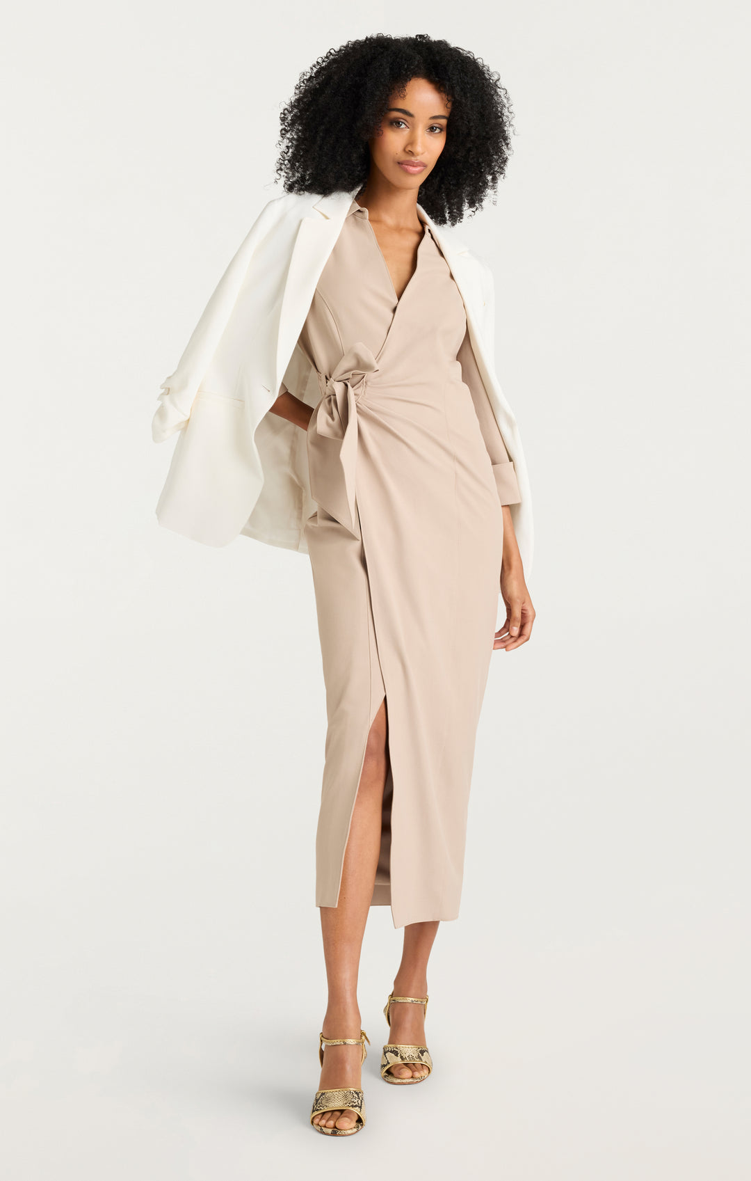 Cayleigh Dress – Cinq à Sept