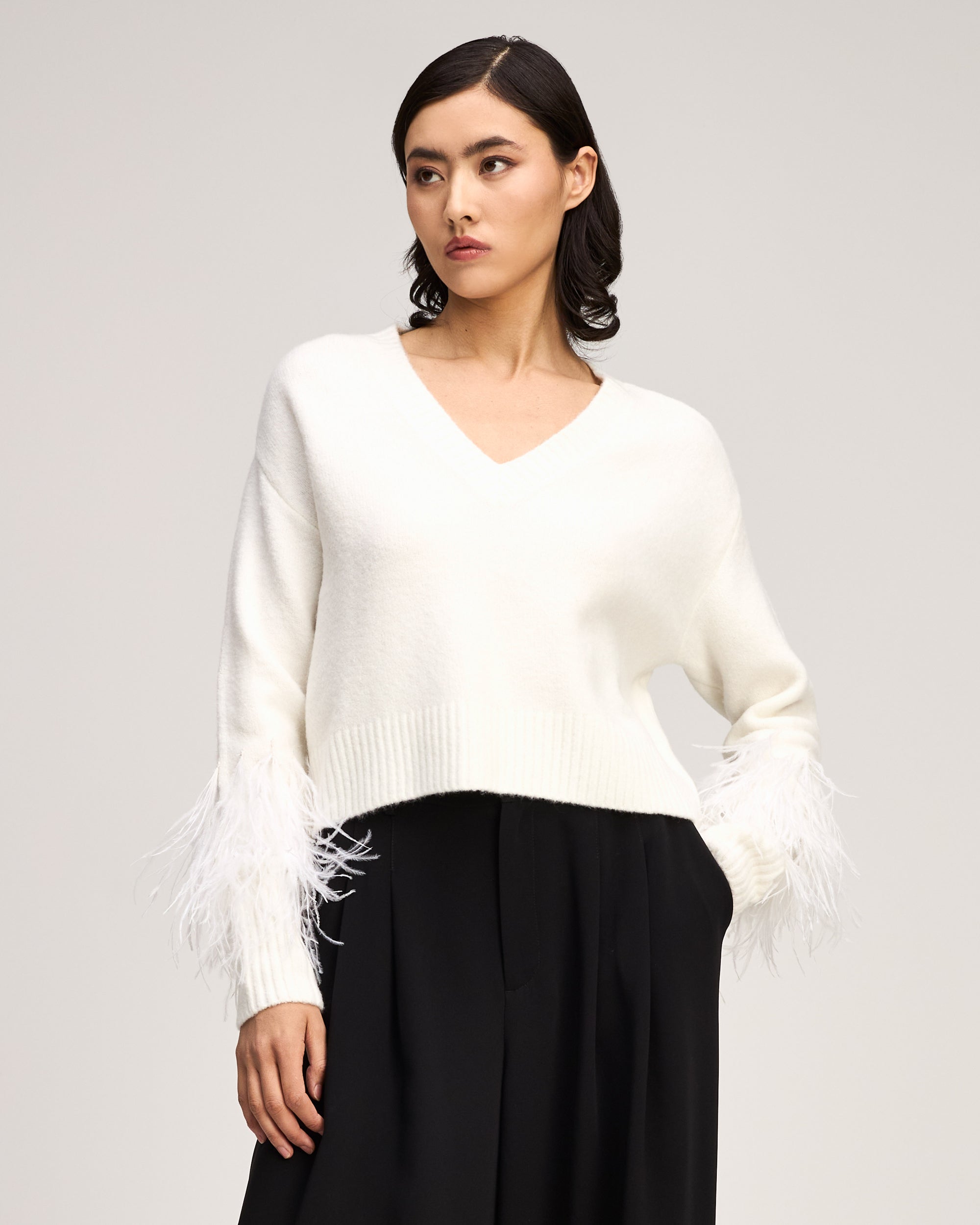 Brianne Feather V Neck Pullover