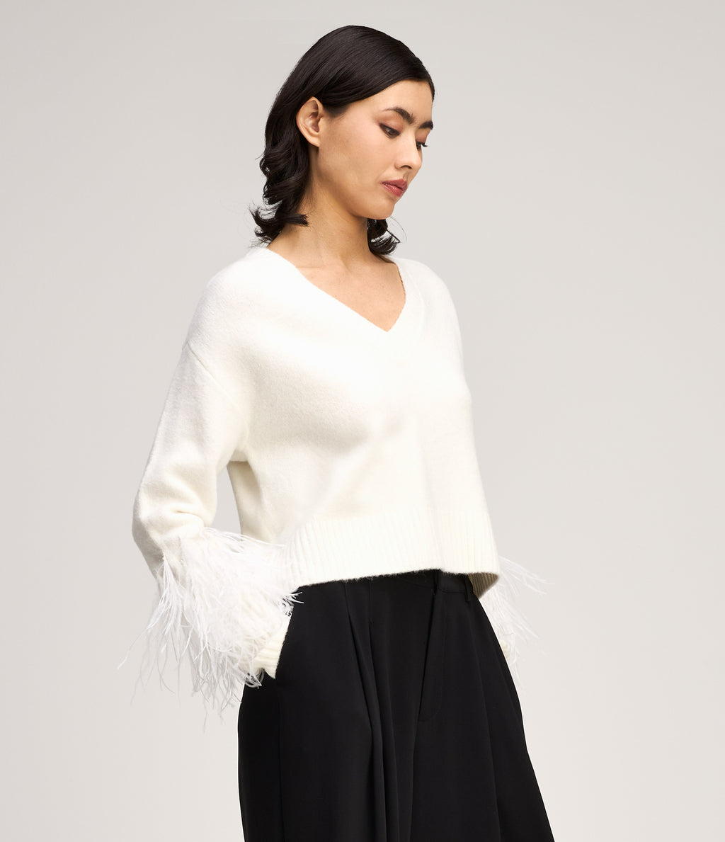 Brianne Feather V Neck Pullover