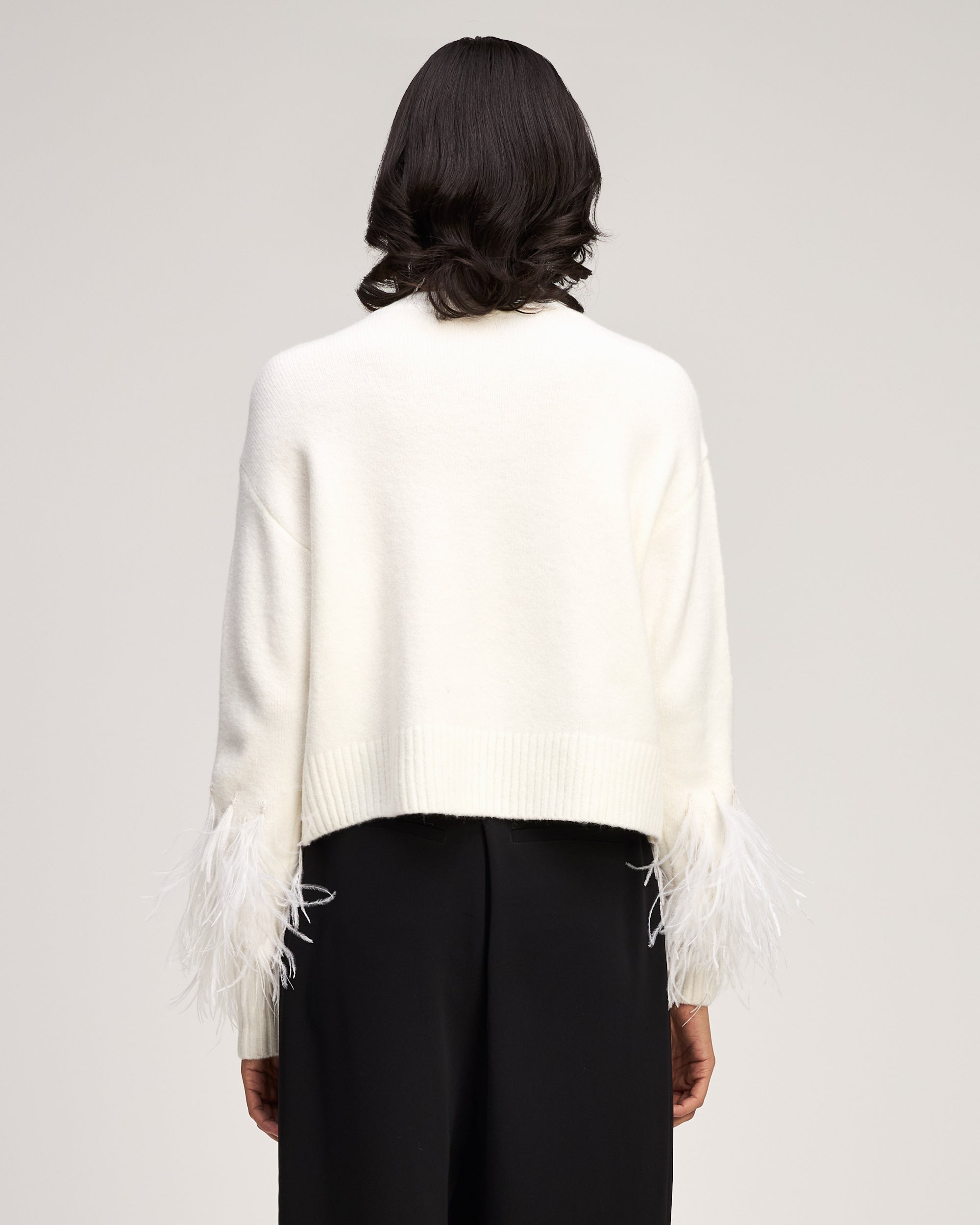 Brianne Feather V Neck Pullover