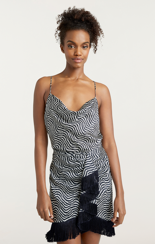 Zebra Marta Cami