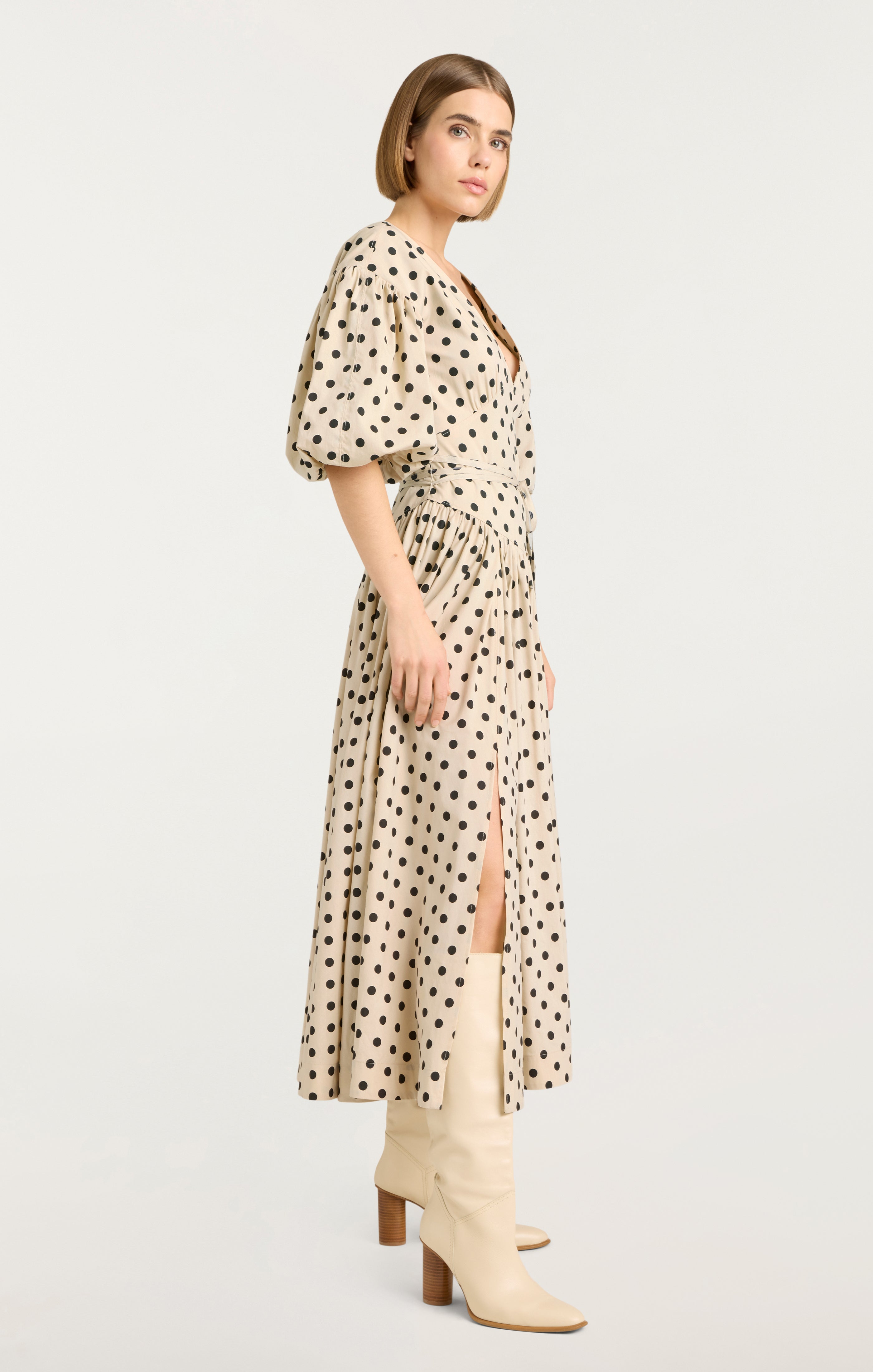 Stassie Dress – Cinq à Sept