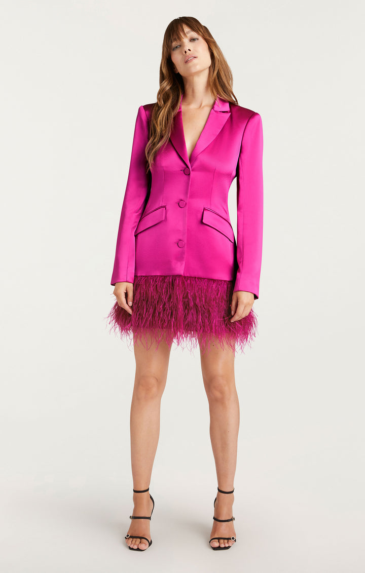 Long Sleeve Feather Joel Dress – Cinq à Sept