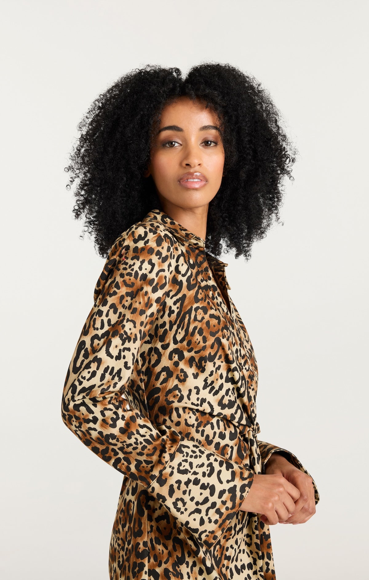 Leopard Denim Mckenna Dress