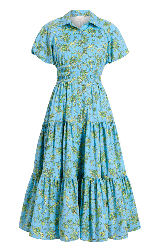 Ivy Paisley Maggio Dress