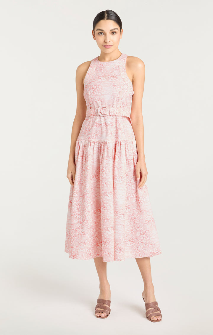 Scenic Toile Zoey Dress – Cinq à Sept