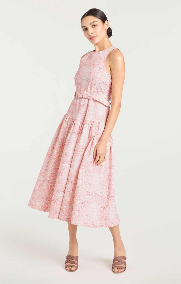 Scenic Toile Zoey Dress – Cinq à Sept
