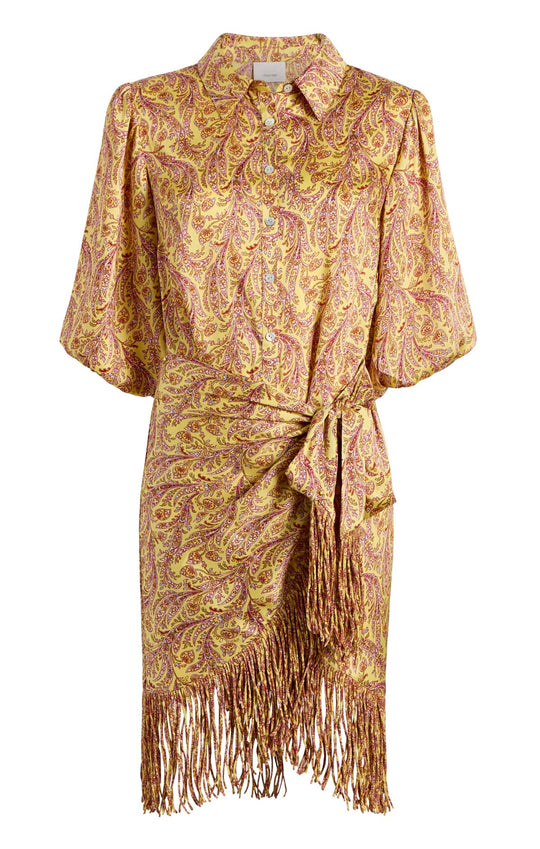 Charming Paisley Kember Dress