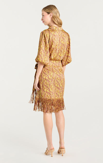 Charming Paisley Kember Dress