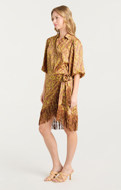 Charming Paisley Kember Dress