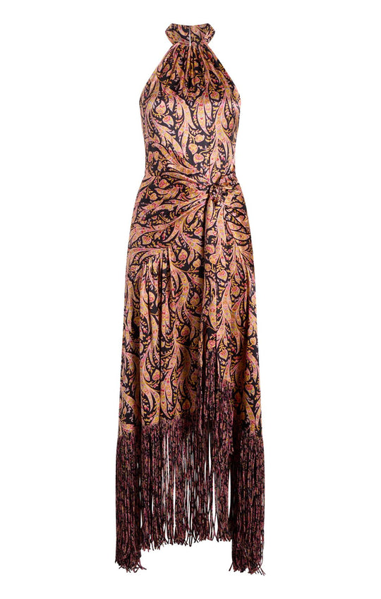 Charming Paisley Teresa Dress