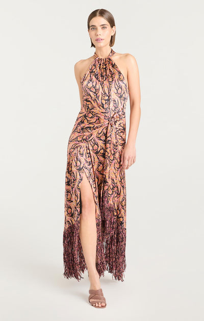 Charming Paisley Teresa Dress