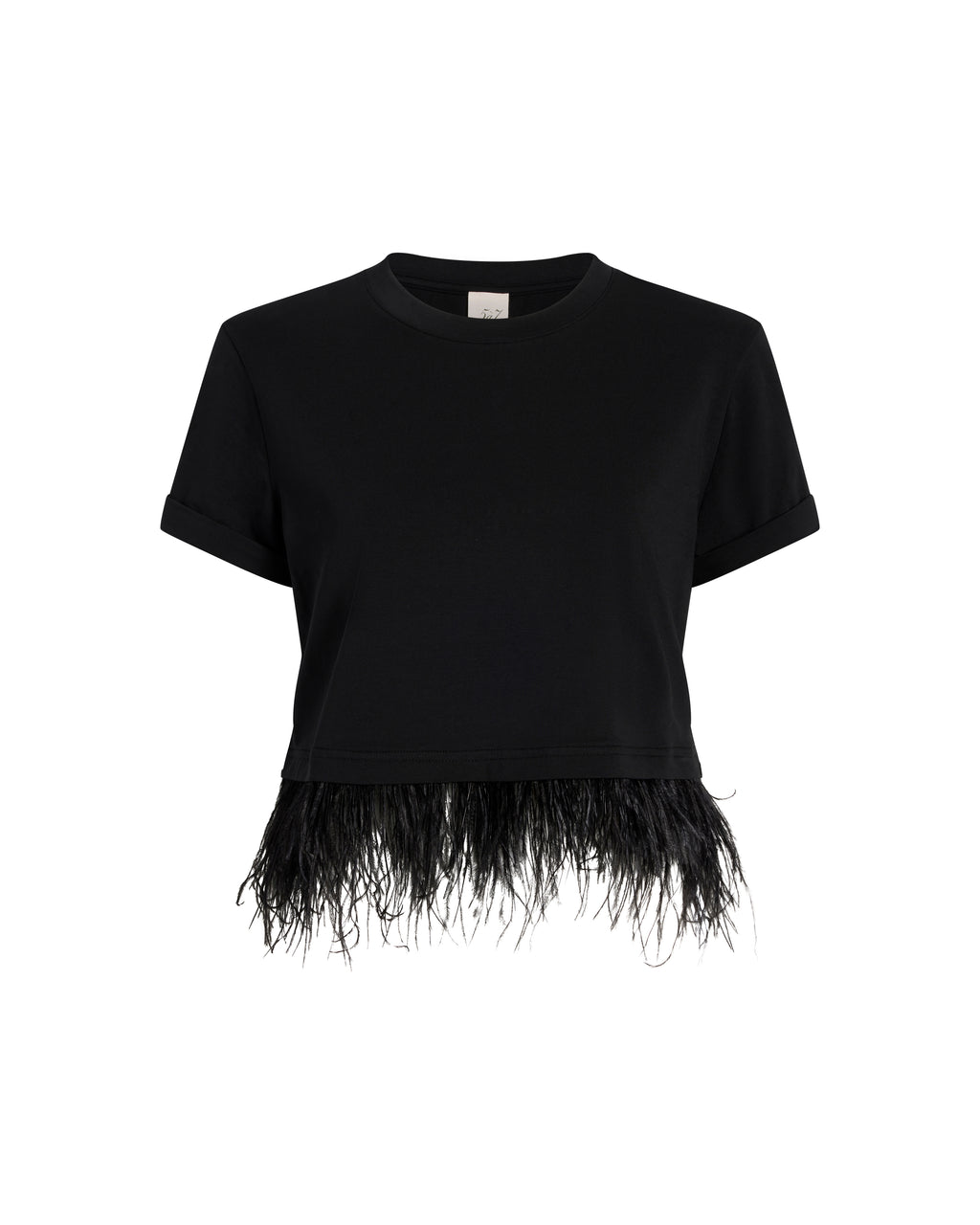 Short Sleeve Cropped Feather Tee