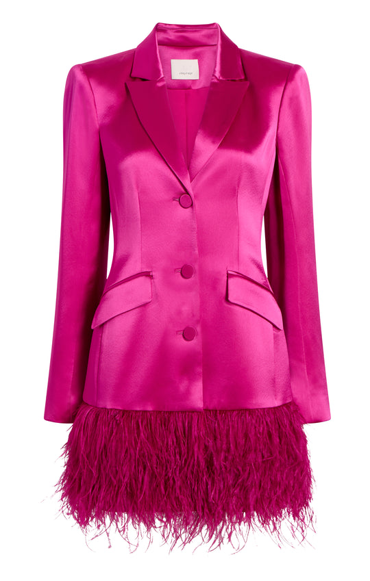 Long Sleeve Feather Joel Dress