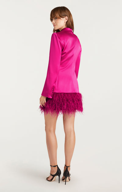 Long Sleeve Feather Joel Dress