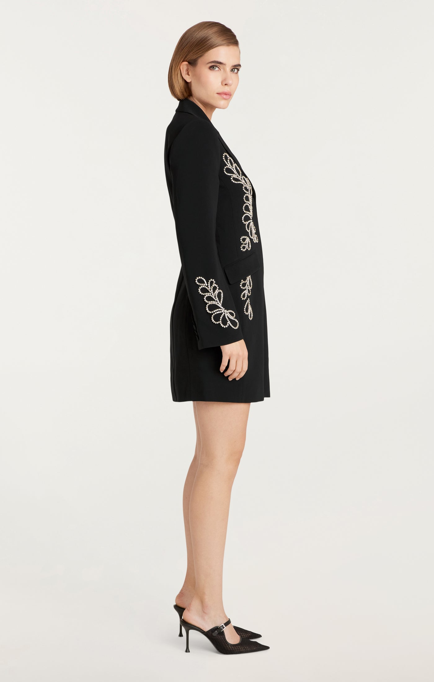 Rhinestone Paisley Long Sleeve Joel Dress