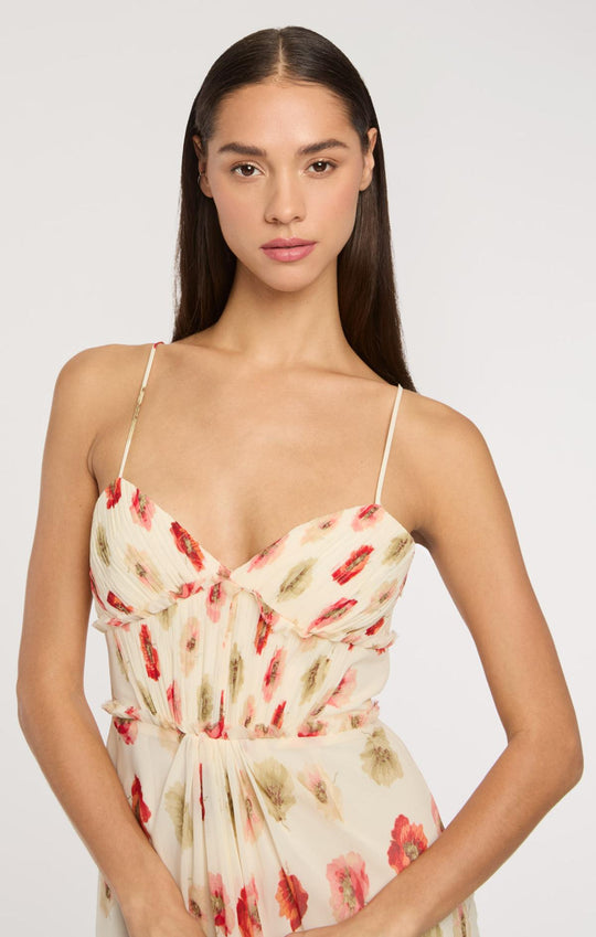 Floating Poppies Carline Dress