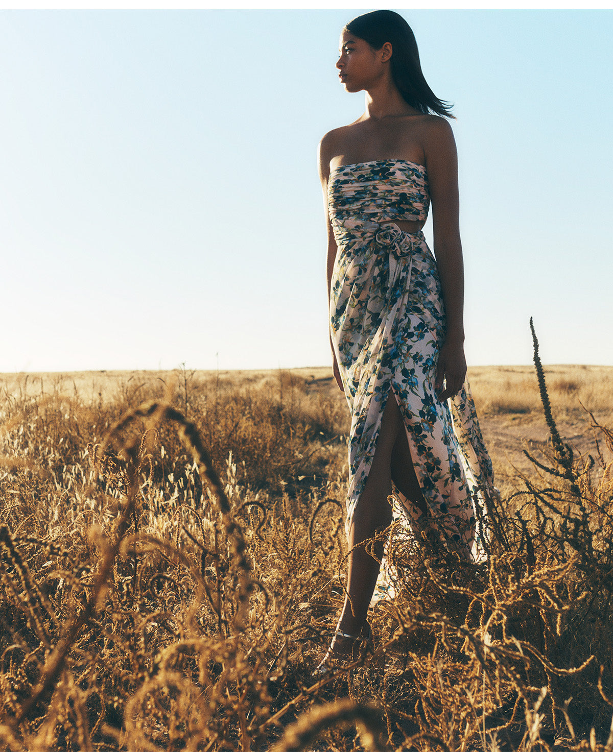 Cinq à Sept Official Site – Women's Clothing & Accessories